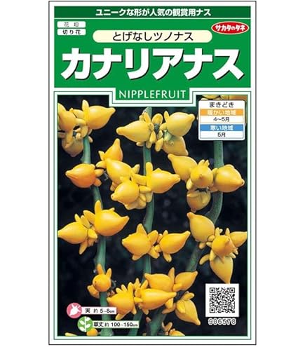 Amazon | サカタのタネ 実咲花6578 カナリアなす とげなしつのなす